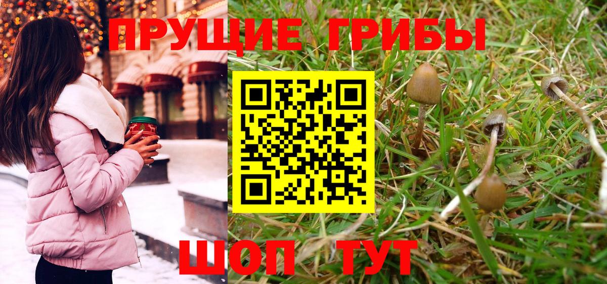 Галлюциногенные грибы Psilocybe  Вход с VPN  Галлюциногенные грибы Magic Shrooms  Бузулук 