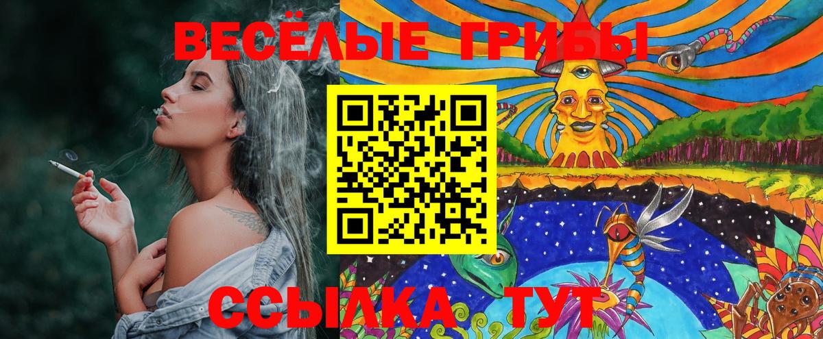 Псилоцибиновые грибы Psilocybe Бузулук